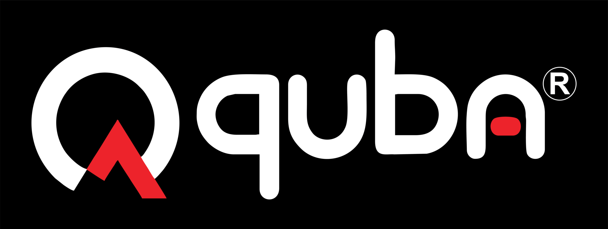 quba digital security seeklogo